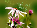 سالروز ولادت با سعادت امام حسن عسکرى (علیه السلام)  مبارک باد