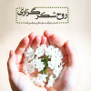 روح شکرگزاری انسان را بزرگ و به حق تعالی نزدیک می کند.
