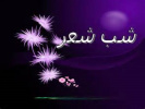 برگزاری مراسم شب شعر دانشگاهیان